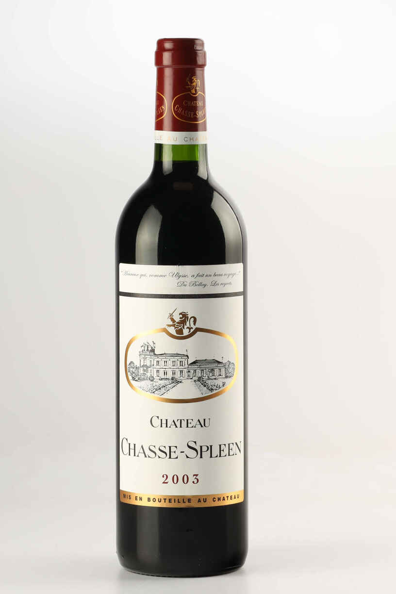 Chateau Chasse Spleen 2003