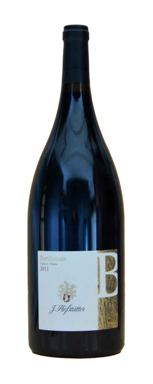J. Hofstatter Barthenau Vigna S. Urbano 2011
