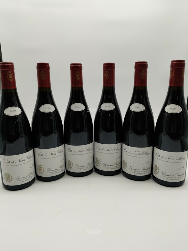 Denis Bachelet Cote De Nuits Villages, 2020