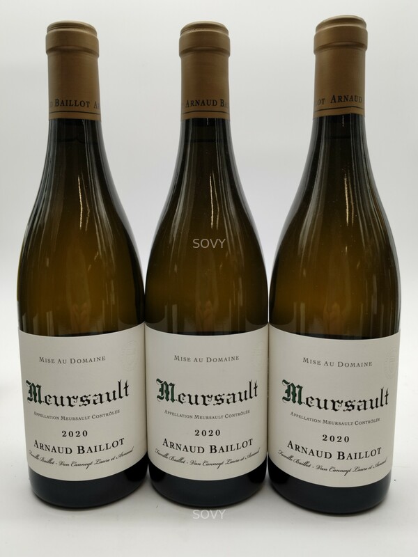 Arnaud Baillot Meursault, 2020