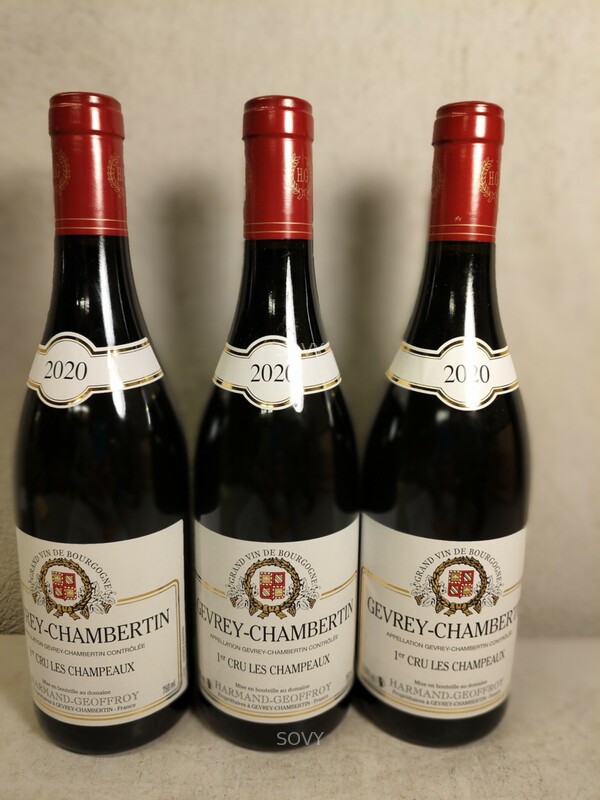 Harmand Geoffroy Gevrey Chambertin Les Champeaux 1er Cru, 2020