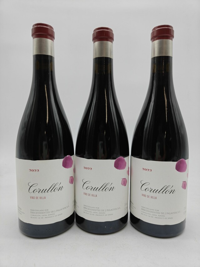 Descendientes De J. Palacios Corullon Vino De Villa, 2022