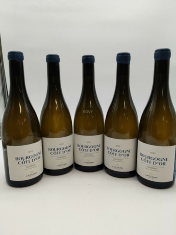 Adrien Lattard Bourgogne Cote D'or, 2022