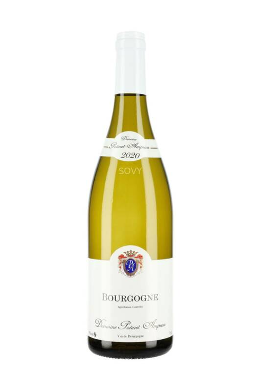 Potinet Ampeau Bourgogne Blanc, 2020