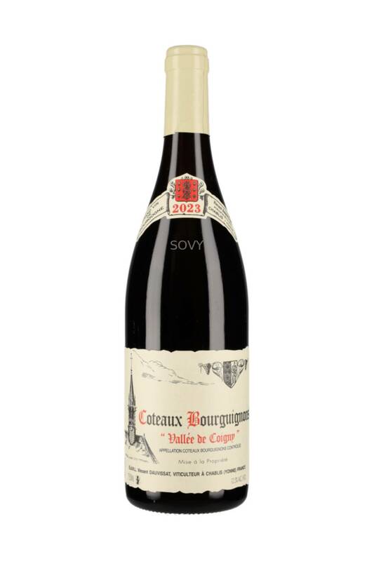 Vincent Dauvissat Coteaux Bourguignons Vallee De Coigny (rouge), 2023