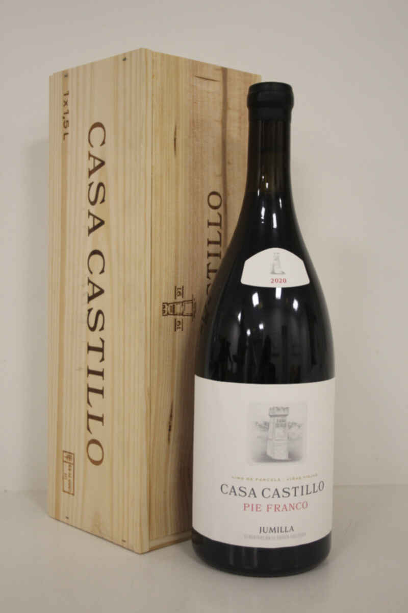 Casa Castillo Pie Franco 2020
