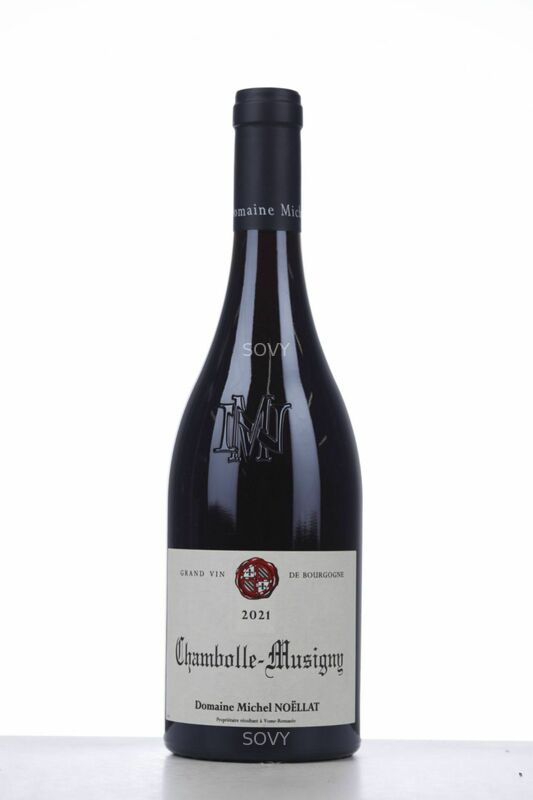 Michel Noellat Chambolle Musigny, 2021