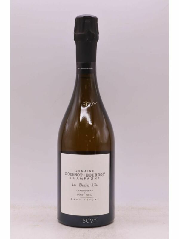 Doussot Bourdot Les Destins Lies Brut Nature R21