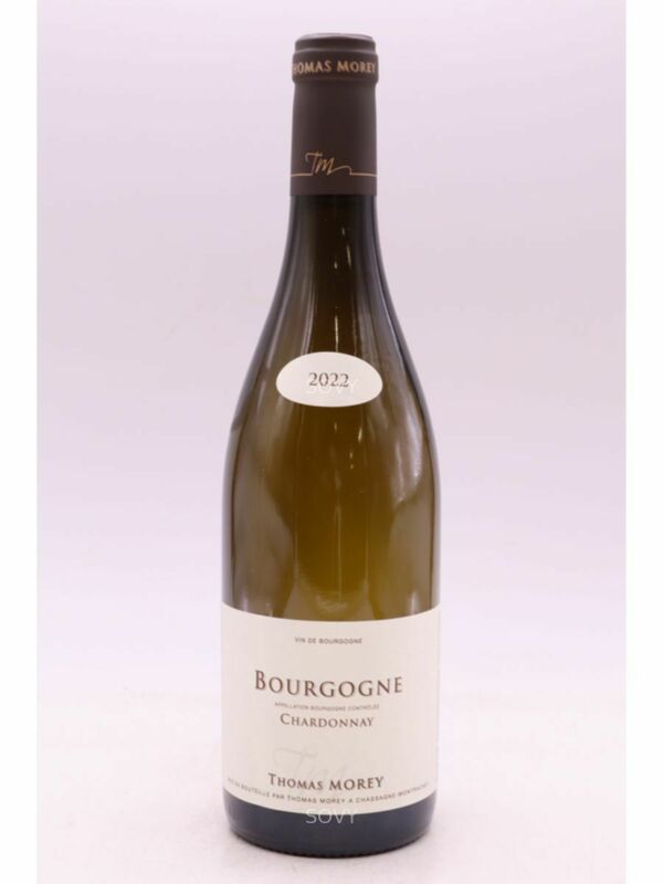 Thomas Morey Bourgogne Blanc, 2022