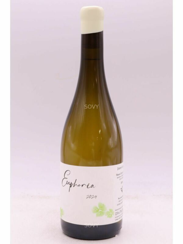 Jeremy Carteret Hautes Cotes De Beaune Euphoria Blanc, 2024