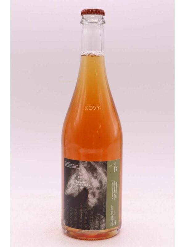 Benoit Rosenberger Liberte Rose, 2022