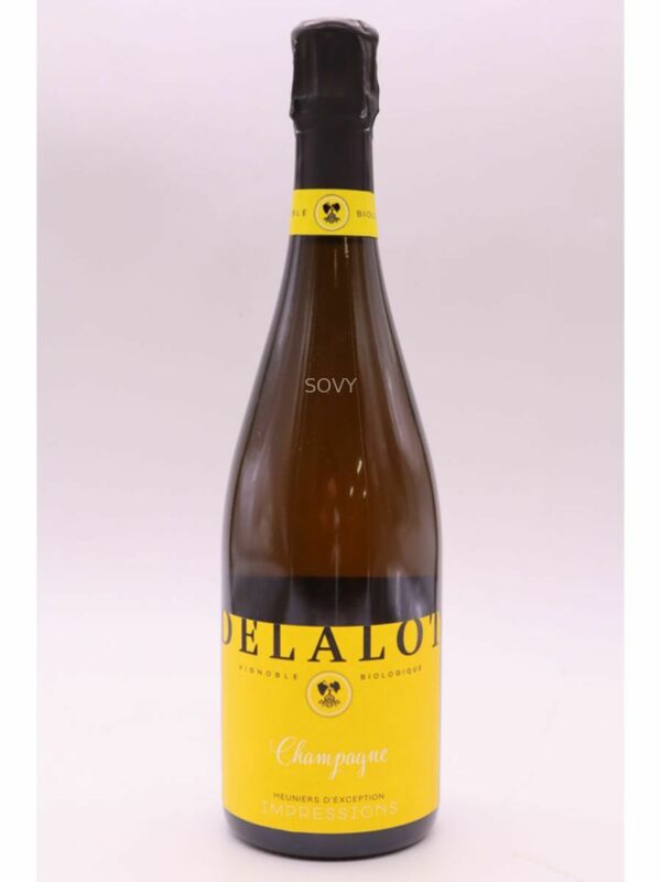 Eliane Delalot Impressions