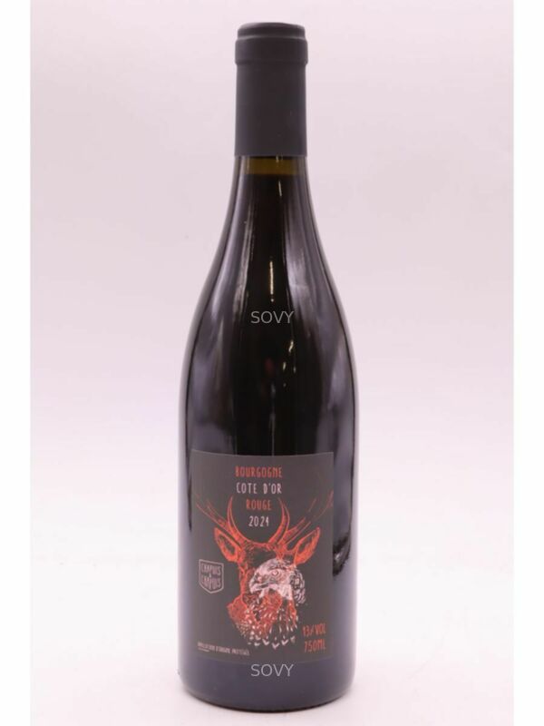 Chapuis Bourgogne Cote D'or, 2024