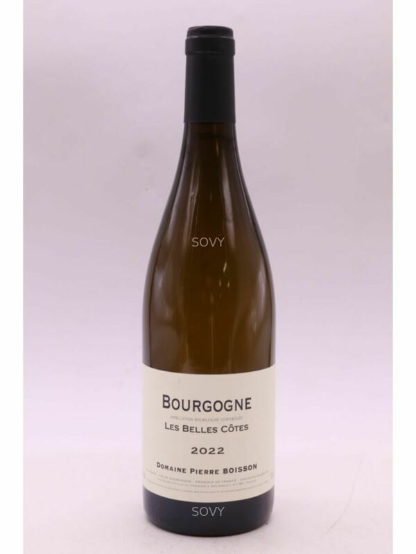 Pierre Boisson Bourgogne Les Belles Cotes, 2022
