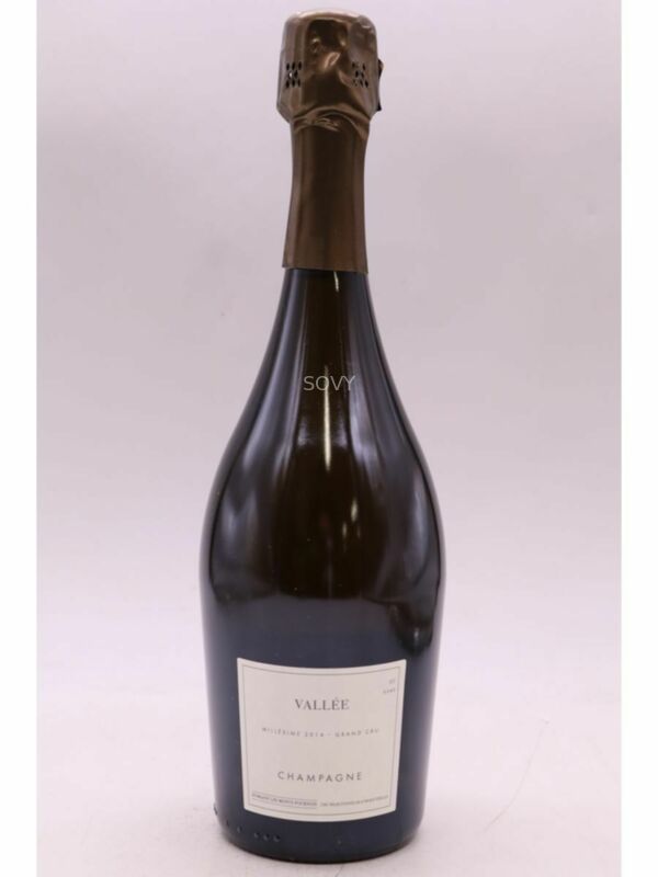 Les Monts Fournois Champagne Grand Cru Vallee, 2014