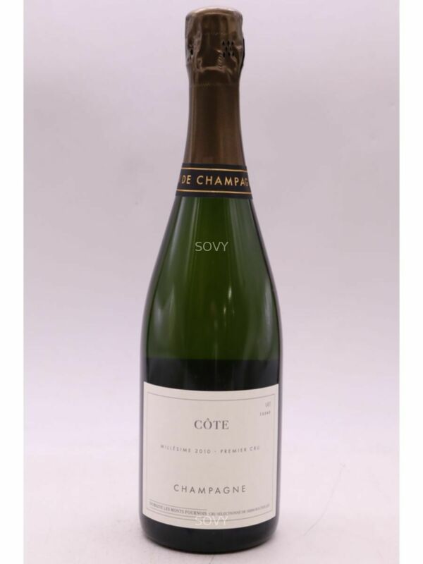 Les Monts Fournois Cote Vertus 1er Cru, 2010