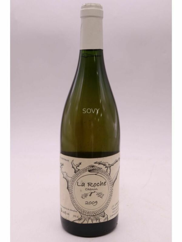 Jean Christophe Garnier La Roche, 2009