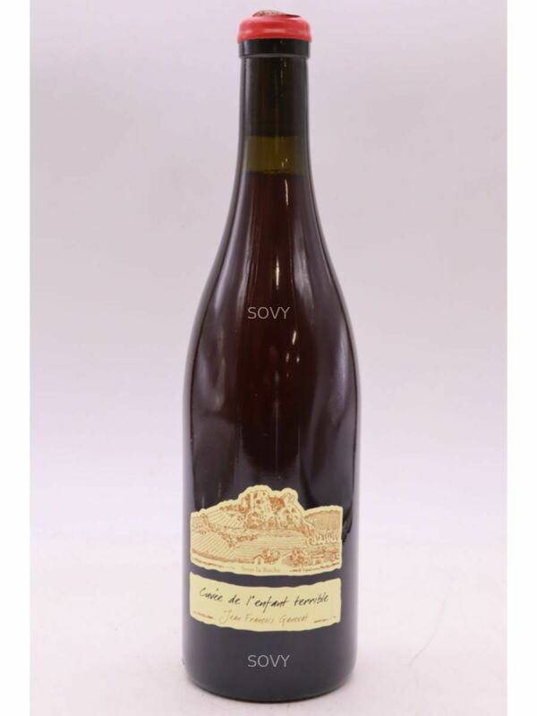 Jean François Ganevat Cotes Du Jura Enfant Terrible Poulsard, 2023