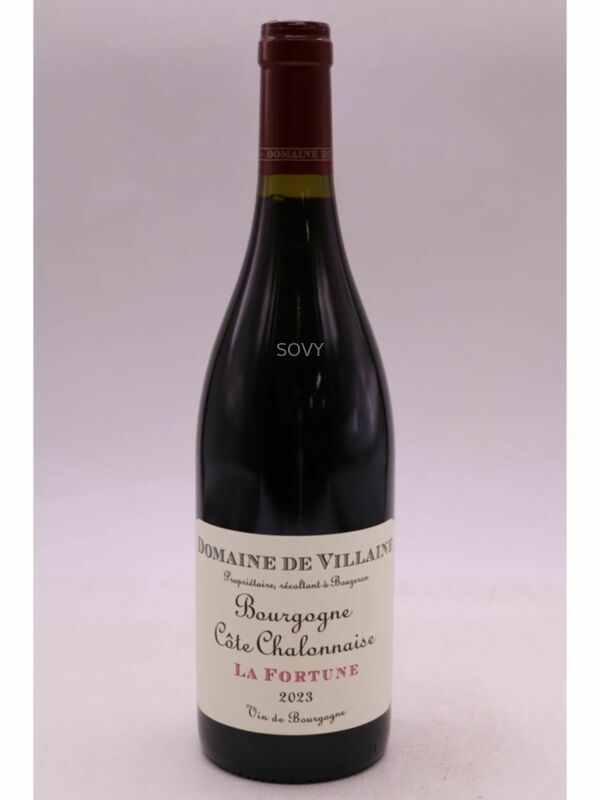 De Villaine Bourgogne Cote Chalonnaise La Fortune, 2023