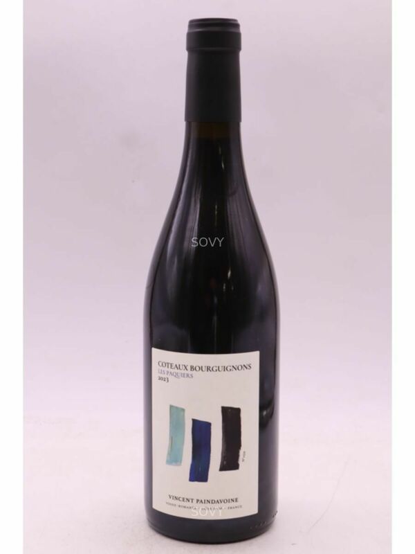 Vincent Paindavoine Coteaux Bourguignons Les Paquiers Coteaux Bourguignons, 2023