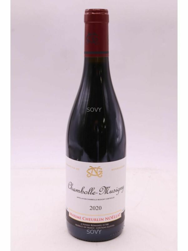 Maxime Cheurlin Noellat Chambolle Musigny, 2020