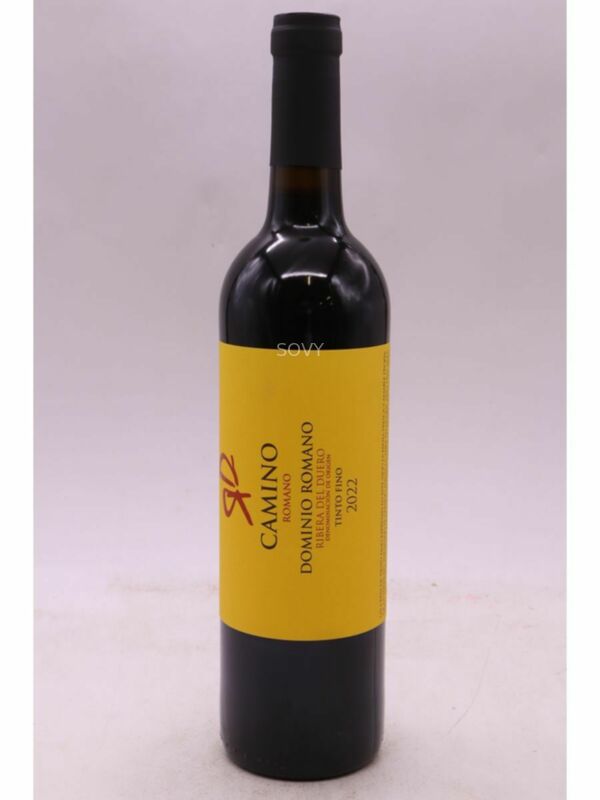 Camino Romano Ribera Del Duero, 2022