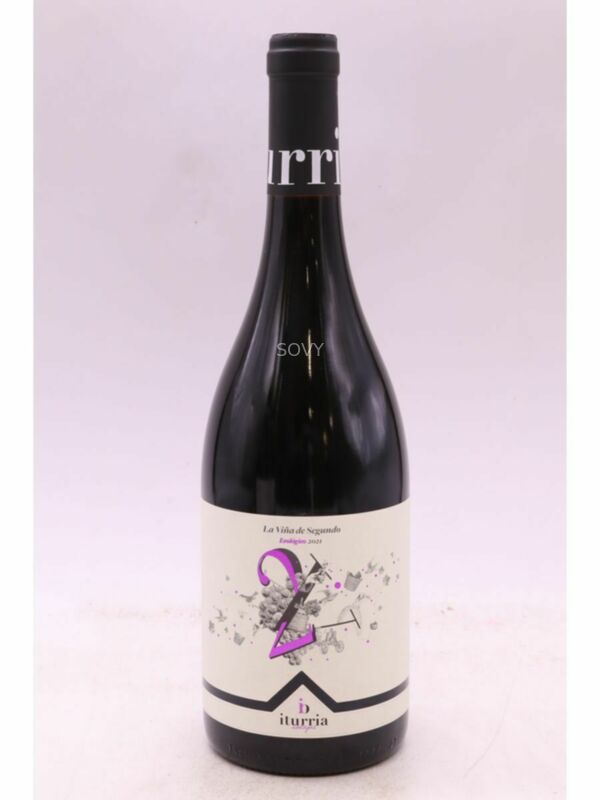 La Vina De Segundo Toro, 2021