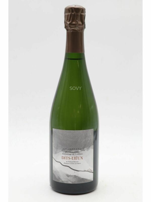 Pierre Brocard Dits Lieux Brut Nature