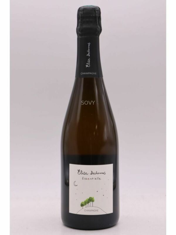 Elise Dechannes Essentielle Brut, 2022