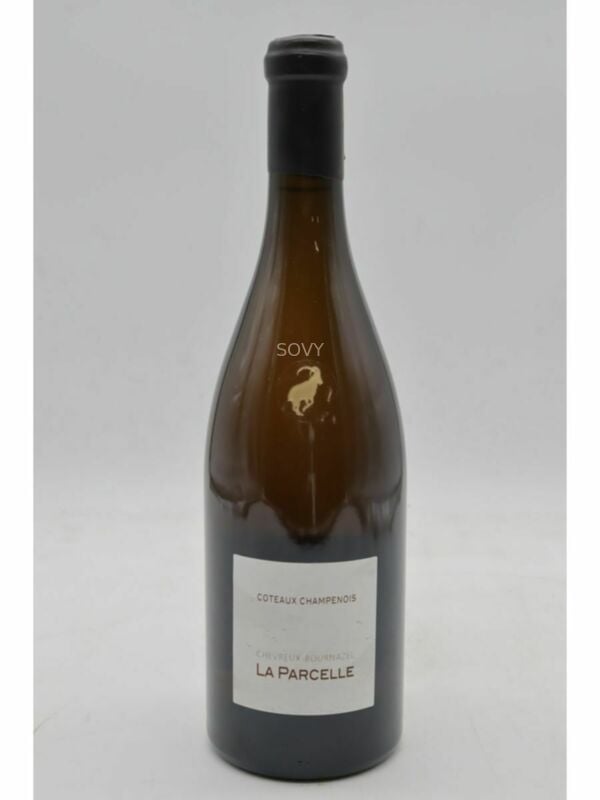 Chevreux-bournazel La Parcelle Coteaux Champenois 21-22 Blanc