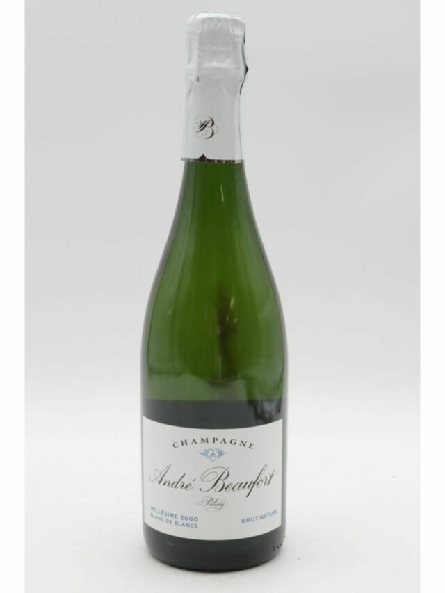 Andre Beaufort Polisy Brut, 2000