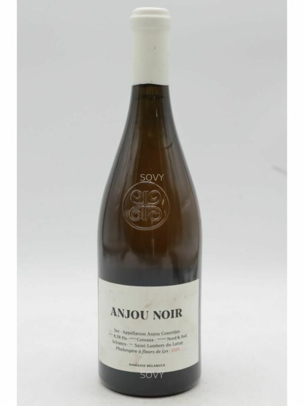 Belargus Anjou Noir, 2019