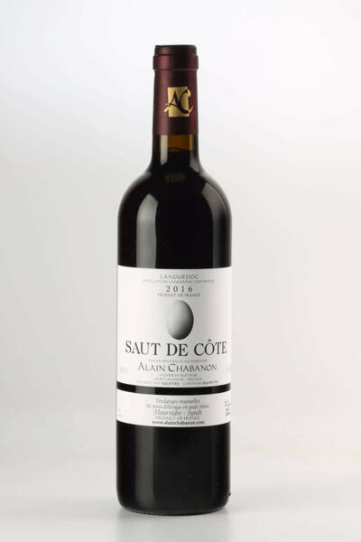 Alain Chabanon , Saut De Cote , 2016