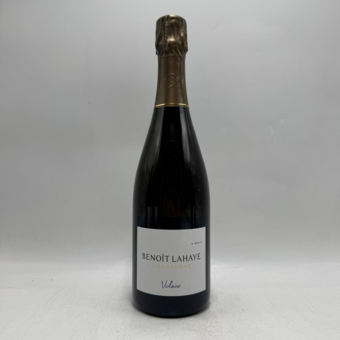 Benoit Lahaye Violaine Brut 2019