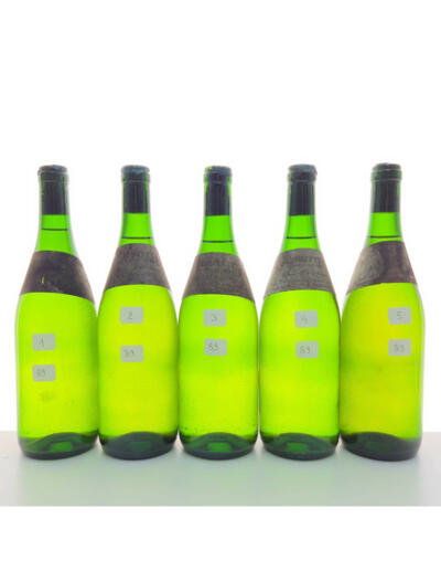 Anne Vatan , Clos De La Neore Sancerre , 1989