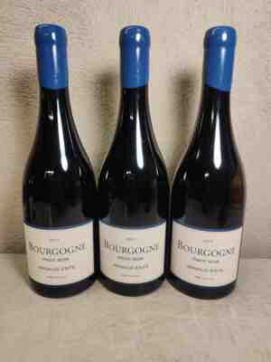 Arnaud Ente Bourgogne Pinot Noir 2017