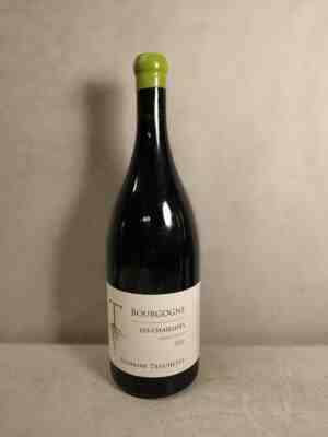 Truchetet Bourgogne Les Chaillots Pinot Noir 2020