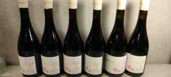 Jeremy Carteret Hautes Cotes De Beaune Euphoria Rouge 2023