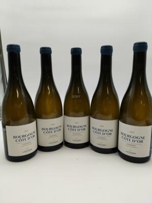 Adrien Lattard , Bourgogne Cote D'or , 2022