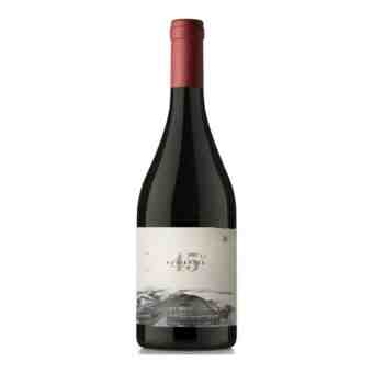 Otronia 45 Rugientes Pinot Noir 2018