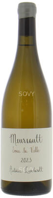 Antoine Lienhardt , Meursault Sous La Velle , 2023