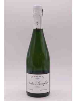 Andre Beaufort Polisy Brut N.V.