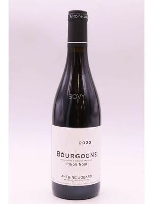 Antoine Jobard , Bourgogne , 2023