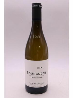 Antoine Jobard , Bourgogne , 2023