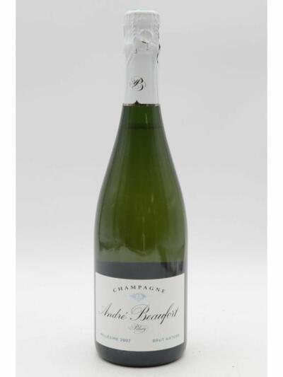 Andre Beaufort , Polisy Brut , 2007